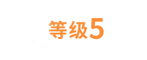 等级5