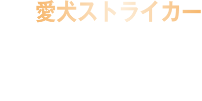 愛犬ストライカー